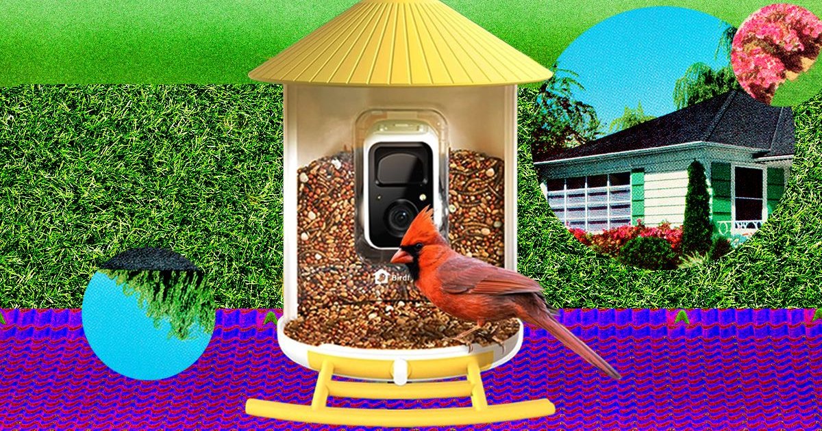 Photo: thebriefwire.com The Smart Bird Feeders Everyone’s Talking About (and Actually Buying) (2026)